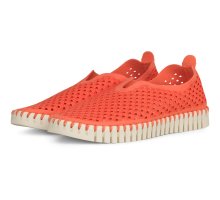 RASP 890